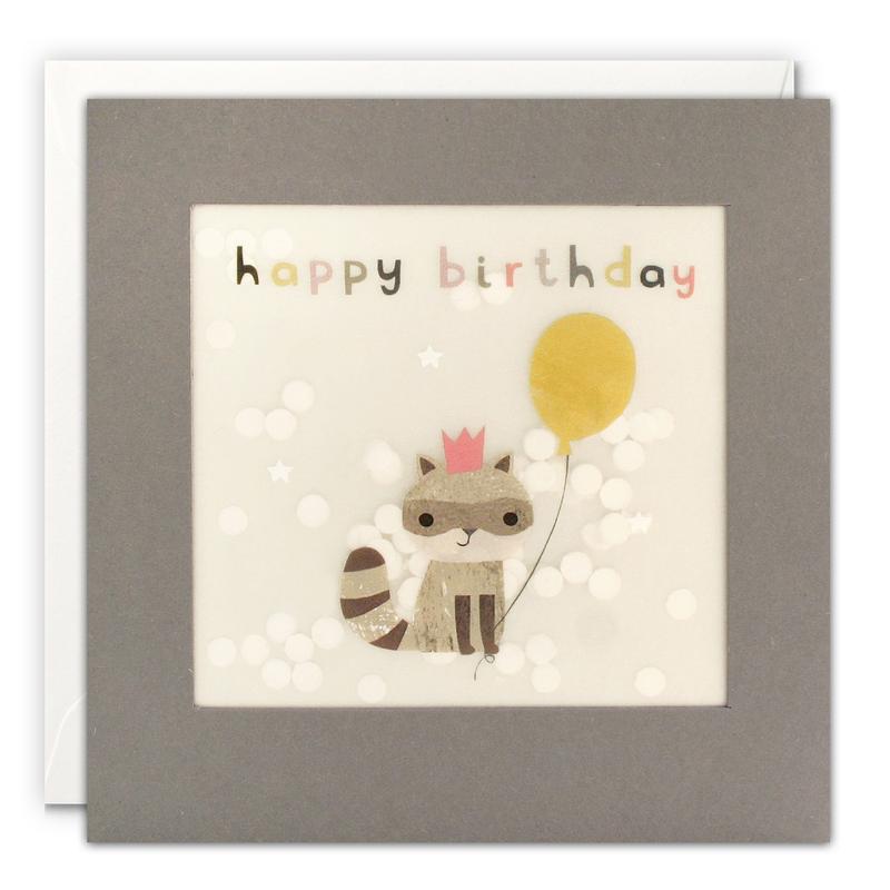 Happy Birthday Racoon Grey Paper Shakies Card