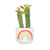 Chasing Rainbows Mini Planter