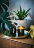 Aery Green Bamboo Candle - Cypress Patchouli & Orange