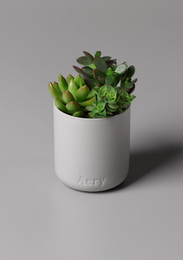 Aery Persian Thyme Candle - Light Grey Clay