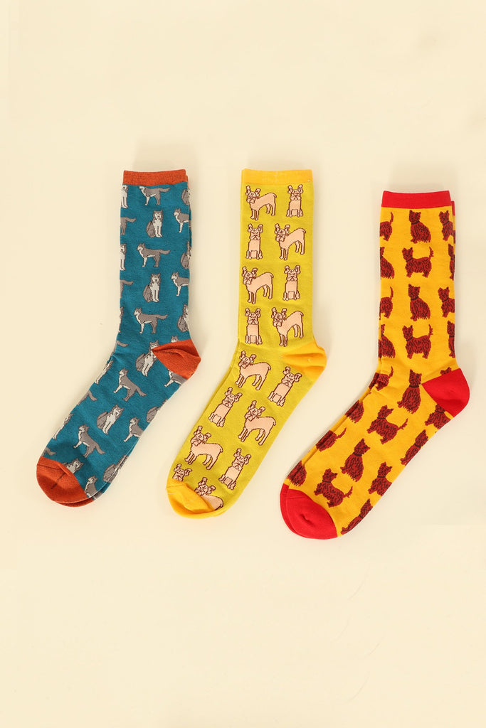 Multi Mens Dog Socks Gift Box